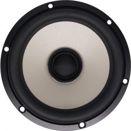 SEAS Excel C16N001/F - E0051-04/06-6 5" Magnesium Cone Coaxial Woofer