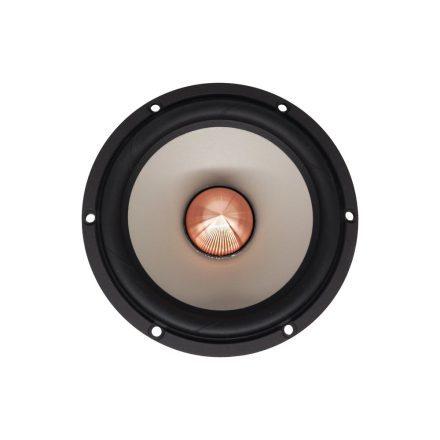 SEAS Excel W16NX001 - E0049-08 6" Magnesium Cone Woofer